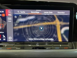 Golf VIII 2.0 TSI GTI ACC Kam. Navi Sportp. LED