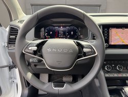 Karoq 1.5 TSI DSG Balance ACC AHK Navi eHeck