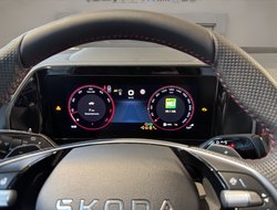 Kodiaq RS DCC AHK Leder Navi Pano