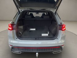 Kodiaq RS Pano AHK Navi Standhz 360° eHeck