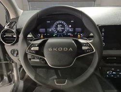 Fabia Tour ACC AUT Kamera DynLicht PDC