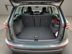 Karoq 2.0 TDI DSG AHK Navi Standh. Matrix ACC