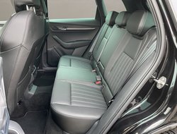 Karoq 1.5 TSI DSG Sportline Pano ACC DCC Navi LED