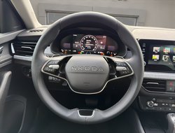 Scala DSG Balance ACC AHK Kamera LED