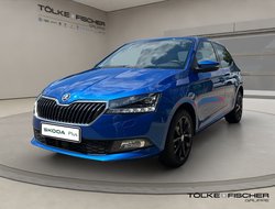 Fabia 1.0 TSI Green tec Style Kam. LM SHZ