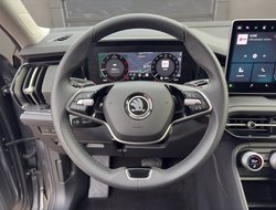 Kodiaq 2.0 TDI DSG ACC Navi HUD eHeck Matrix