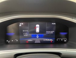 T-Roc 1.0 TSI Goal ACC Kam. Virtual DynLicht LED
