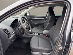 Karoq 1.5 TSI DSG Balance ACC AHK Navi eHeck