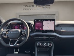 Kodiaq RS DCC Pano AHK Navi SHZ 360°