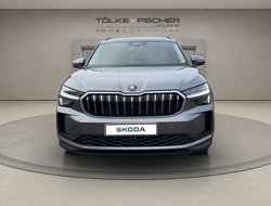 Kodiaq 2.0 TDI DSG ACC Navi HUD eHeck Matrix