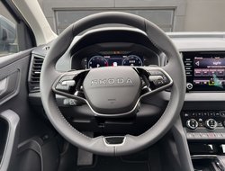 Karoq 1.5 TSI DSG Balance ACC AHK Navi eHeck