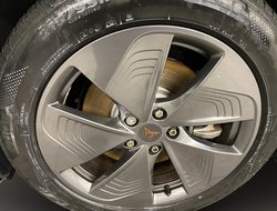 Born 150 W ACC AUT Kam. Navi Sportp. Virtual LED