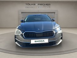 Octavia Combi Tour AHK Navi HUD 360° eHeck
