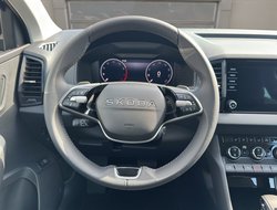 Karoq 1.5 TSI DSG Balance ACC AHK Navi eHeck