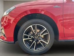 Fabia Monte Carlo ACC Kamera KeyLess SHZ