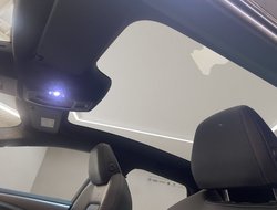 A6 e-tron Avant performance W S-line ACC AHK AUT