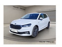 Fabia 1.0 TSI Tour ACC Kam. Navi DynLicht LED LM