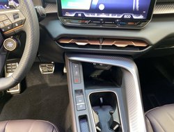 Terramar 1.5 VZ DCC ACC AHK AUT Kam. Navi Pano