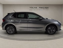 Fabia Tour ACC AUT Kamera DynLicht PDC