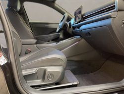 T-Roc R-Line 1.5 l eTSI OPF DSG R-Line IQLight