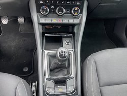 Karoq 1.0 TSI Selection AHK Navi PDC RFK SHZ