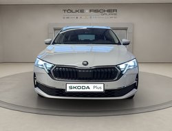 Octavia Combi Tour ACC AHK Navi 360° eHeck Matrix