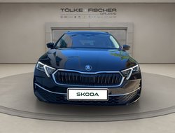 Octavia Combi DSG Tour AHK Navi HUD 360° eHeck