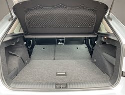 Kamiq 1,0 TSI Klima Virtual LED PDC SHZ SpurH