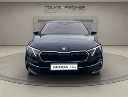 Octavia Combi Tour ACC AHK Navi 360° eHeck Matrix