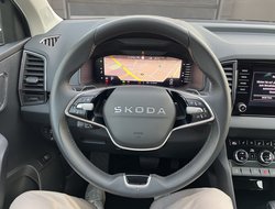 Karoq 2.0 TDI DSG AHK Navi Standh. Matrix ACC