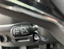 Kodiaq 2.0 TDI Clever ACC AHK AUT Kam. Navi Pano