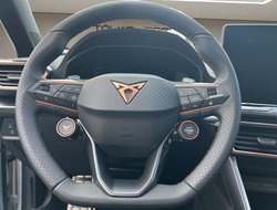 Formentor TSI 1.5  VZ DCC AHK Navi FLA LM SHZ