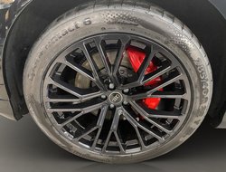 Q8 3.0 TFSI e quattro TFSIW Pano S-line ACC AHK