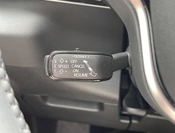 Karoq 2.0 TDI 4x4 Selection ACC AHK AUT Navi LED