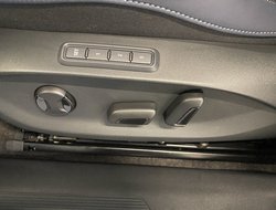 Tavascan Dual Engine 4Drive VZ DCC ACC AUT 360