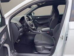 Karoq Sportline DCC Pano AHK Kamera eHeck