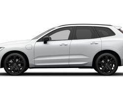 XC60 T8 PHEV PLUS BLACK EDITION Gewerbeaktion!