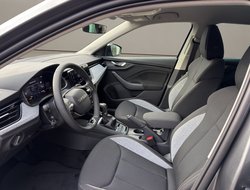 Scala DSG Balance ACC AHK Kamera LED