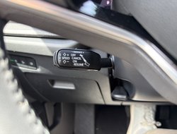 Octavia Combi DSG Tour ACC AHK Navi eHeck