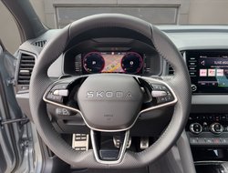 Karoq 1.5 TSI DSG Sportline DCC ACC AHK AUT Kam.