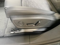 A6 e-tron Avant performance W S-line ACC AHK AUT