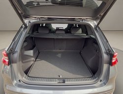 Kodiaq DSG Sportline DCC Navi AHK Matrix eHeck