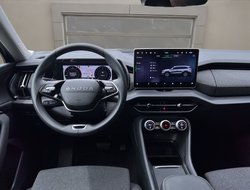 Kodiaq 2.0 TDI DSG 4x4 ACC AHK Navi Matrix eHeck