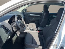 Karoq 1.5 TSI DSG Balance ACC AHK Navi eHeck