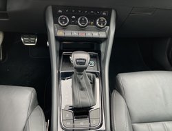 Karoq 1.5 TSI DSG Sportline Pano ACC DCC Navi LED