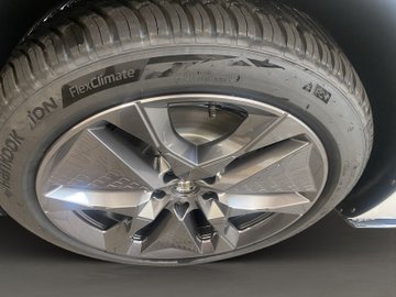 Born 140 (58kWh) ACC AUT Kam. Sportp. Standh. – Bild 7