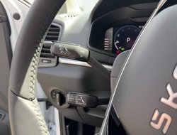 Karoq 1.5 TSI DSG Balance ACC AHK Navi eHeck