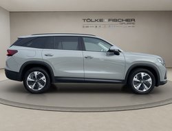 Kodiaq 1.5 TSI DSG ACC Navi Virtual eHeck