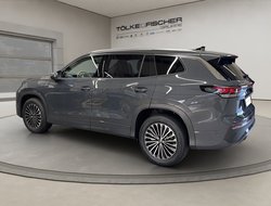 Tayron Elegance 1.5 l eHybrid 85 kW (115 PS) DSG