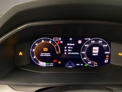 Formentor TSI 1.5 ACC AUT Navi Virtual LED LM